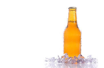 Cool Beer in Ice