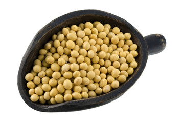 yellow soy beans on a wooden scoop, isolated on white