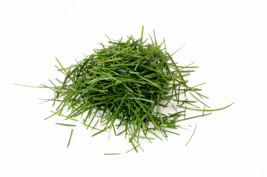 Pile of Grass