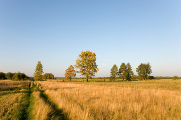 Obraz premium village