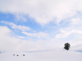 colline enneigée...l'hiver avant l'heure