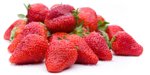 Viele Erdbeeren im Panorama auf weiß