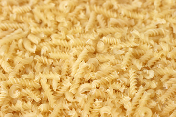 pasta over white background