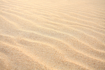 Fototapeta na wymiar Sand strand mit Rippelmarken
