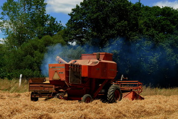 Fototapeta premium Moisseneuse