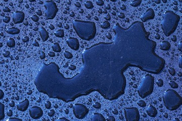 Drops on fresh asphalt, oil