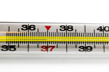 thermometer