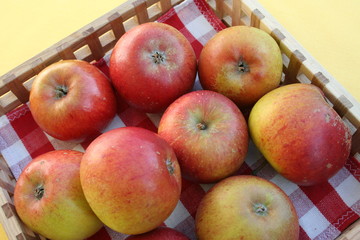 Cox orange - Swedish apple