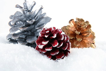 Three cones on white snow