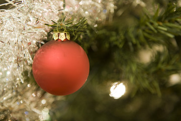 Red Christmas ball in a tree