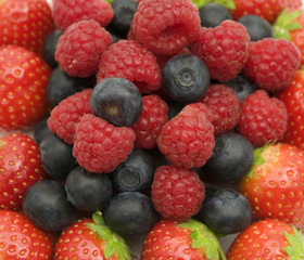 berries background