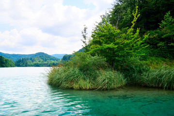 lake in deep forest