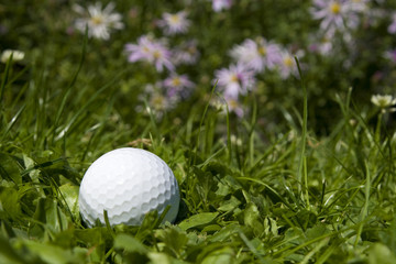 white golf ball on green grass