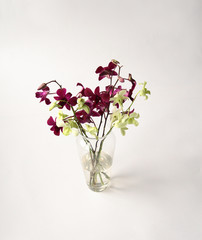 Obraz premium Bunch of orchids in a glass vase