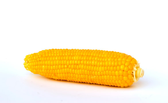 Corn isolated on white background
