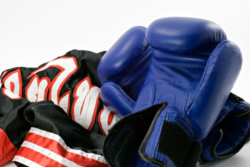 Boxing gloves with shorts on the white background