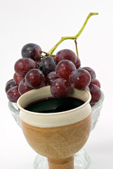 Blue grapes on white background