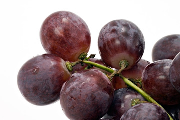 Blue grapes on white background