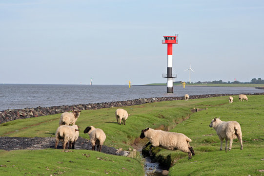 Landschaft an der Nordseek&uuml;ste