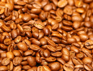 Coffee grains