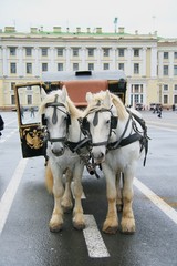 Fototapeta premium Palace Square, St Petersburg, Russia