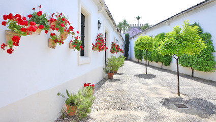 on the white streets of Andalucia, Spain