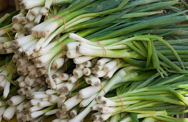 At the autumn agricultural fair in Canada.