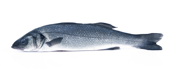 branzino