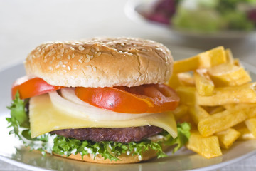 juicy hamburger meat lettuce tomato and onion mayonnaise