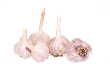 five garlic bulbs isolated over white