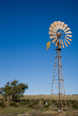 Australian Windmill