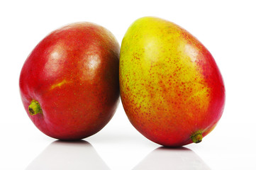 Mango 10