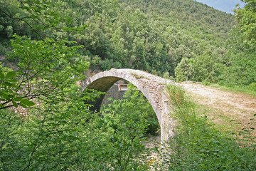 Fototapeta na wymiar Ponte della Pia