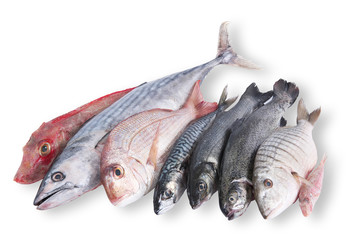 pesce in pescheria