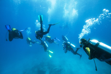 Group of divers in the Indian Ocean