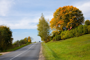 Fototapeta premium Paints of autumn