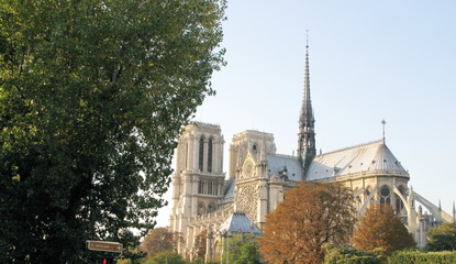 Fototapeta na wymiar Cathédrale de Notre Dame, Arbres, Paris, France.