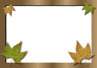 Frame with diverse leaves. . Put your pics in the free space