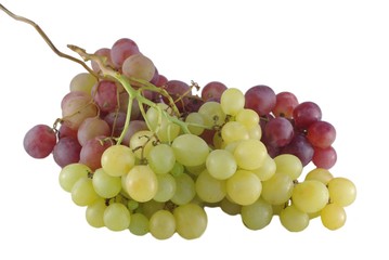 matur grapes on white background