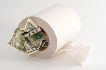 Dollar in toilet paper roll