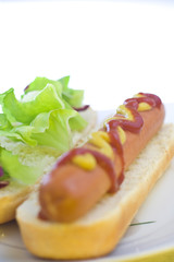 fast food, delicious hot dog isolated over white background