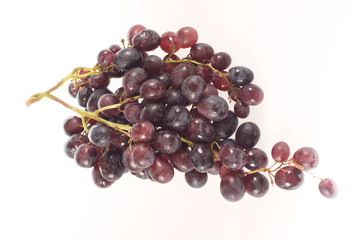 red grape