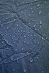 Gocce d'acqua