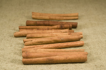 Cinnamon sticks on burlap