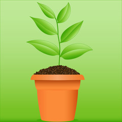 Umweltzeichen - grüne Pflanze