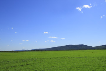 Bright scenic view of green fields and blue sky