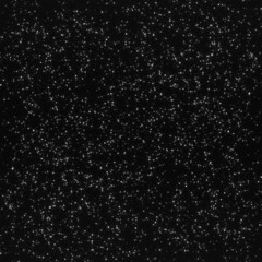 Night sky filled with stars