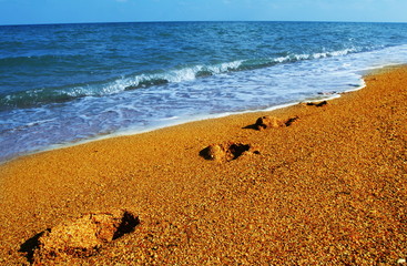 Beach scenery