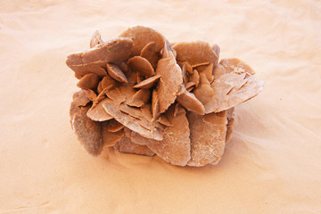 rose des sable