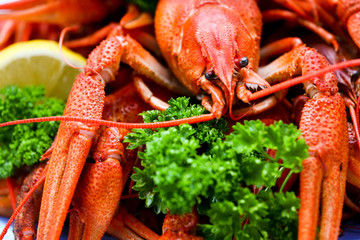 A lot of red crayfish close up